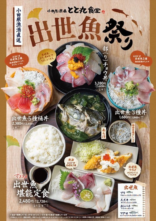 「食べて運気も出世する!?」縁起魚が大集合！小田原漁港直送「出世魚祭り」開催　ブリ・スズキ・カンパチなど、成長とともに名を変える“出世魚”を豪快に味わう！