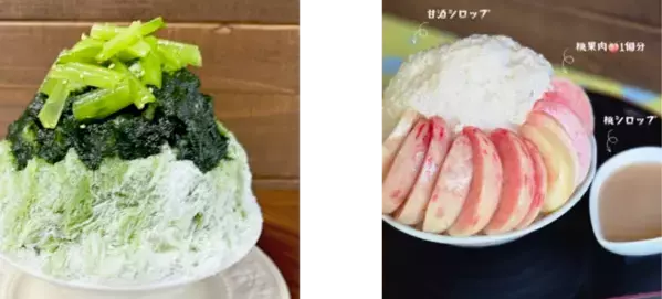 大地の恵みをDAICHIで味わう、ふわふわ＆ひんやりな一杯を農家がつくるメロンかき氷がFPA*三つ星を受賞