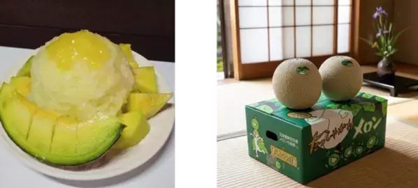 大地の恵みをDAICHIで味わう、ふわふわ＆ひんやりな一杯を農家がつくるメロンかき氷がFPA*三つ星を受賞