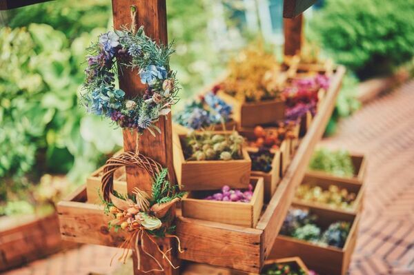 ロープウェイの先に広がる秋色の別世界！「GARDEN FEST 2026-Autumn-のんびり、ぶらり、秋散歩」開催