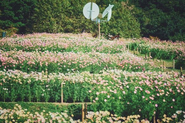 ロープウェイの先に広がる秋色の別世界！「GARDEN FEST 2026-Autumn-のんびり、ぶらり、秋散歩」開催