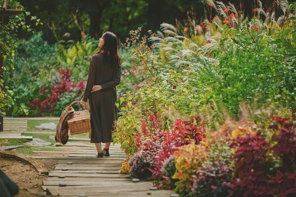ロープウェイの先に広がる秋色の別世界！「GARDEN FEST 2026-Autumn-のんびり、ぶらり、秋散歩」開催