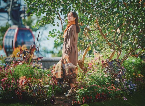 ロープウェイの先に広がる秋色の別世界！「GARDEN FEST 2026-Autumn-のんびり、ぶらり、秋散歩」開催