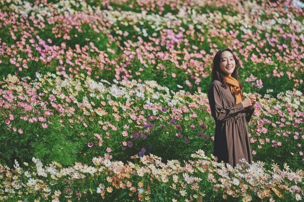 ロープウェイの先に広がる秋色の別世界！「GARDEN FEST 2026-Autumn-のんびり、ぶらり、秋散歩」開催
