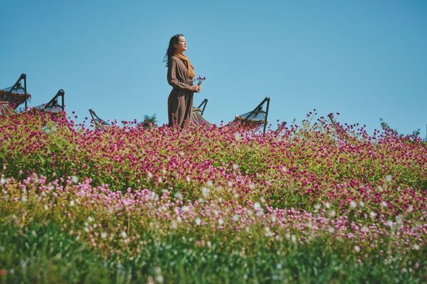 ロープウェイの先に広がる秋色の別世界！「GARDEN FEST 2026-Autumn-のんびり、ぶらり、秋散歩」開催