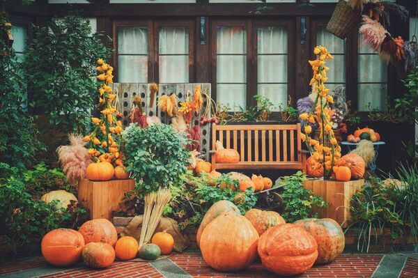 ロープウェイの先に広がる秋色の別世界！「GARDEN FEST 2026-Autumn-のんびり、ぶらり、秋散歩」開催