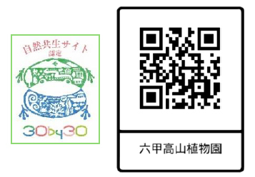 秋を連れてくる“渡り蝶”「アサギマダラ」が六甲高山植物園に飛来！