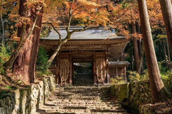 秋季特別展「百済寺と近江の仏教美術―百済寺秘仏公開によせて―」を9月26日（土）より開催