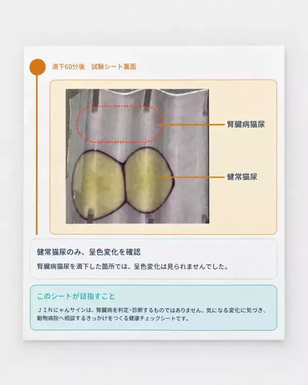猫の健康を、楽しみながら考える2日間　JIN活研究所が「にゃんだらけ21」に出展、無料くじやバッグの配布も