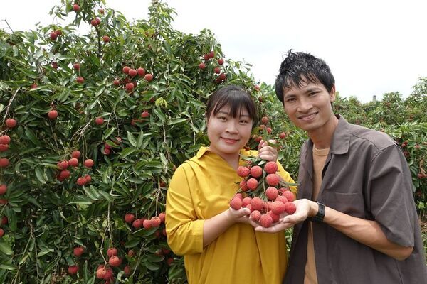 ベトナムのライチ蜂蜜が、日本で「はちみつ酒」に苗木支援から生まれたミード「ヴァイ・ミード」を開発