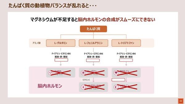 ＜現代型ストレスの蓄積とたんぱく質不足の関係「やる気ゼロでも作れるリセッ豆乳メシ試食会」レポート＞心療内科医の姫野友美先生が「ストレス対策におけるたんぱく質の重要性と豆乳活用」を解説　「ストレスに負けないカラダ」づくりのカギは「たんぱく質の動植物バランス」　“植物性たんぱく質＋マグネシウム”を手軽に摂れる豆乳に注目