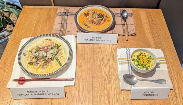 ＜現代型ストレスの蓄積とたんぱく質不足の関係「やる気ゼロでも作れるリセッ豆乳メシ試食会」レポート＞心療内科医の姫野友美先生が「ストレス対策におけるたんぱく質の重要性と豆乳活用」を解説　「ストレスに負けないカラダ」づくりのカギは「たんぱく質の動植物バランス」　“植物性たんぱく質＋マグネシウム”を手軽に摂れる豆乳に注目