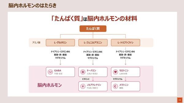 ＜現代型ストレスの蓄積とたんぱく質不足の関係「やる気ゼロでも作れるリセッ豆乳メシ試食会」レポート＞心療内科医の姫野友美先生が「ストレス対策におけるたんぱく質の重要性と豆乳活用」を解説　「ストレスに負けないカラダ」づくりのカギは「たんぱく質の動植物バランス」　“植物性たんぱく質＋マグネシウム”を手軽に摂れる豆乳に注目