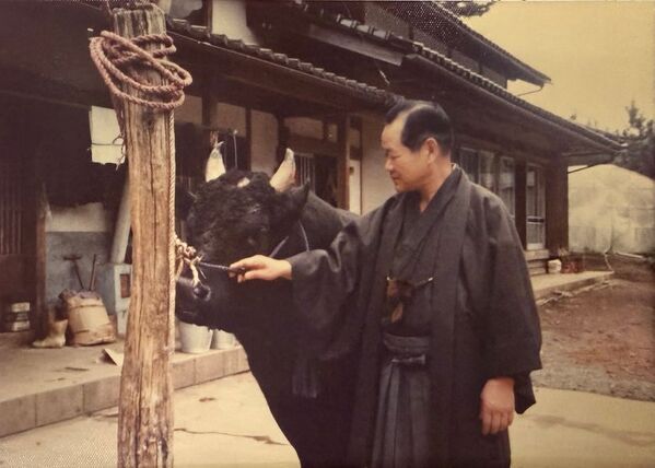 隠岐プラザホテル、10月11日「一夜嶽牛突き大会」で約40年ぶりに名を復活させた「プラザ号」が横綱戦に出場　特別観戦体験プランも募集