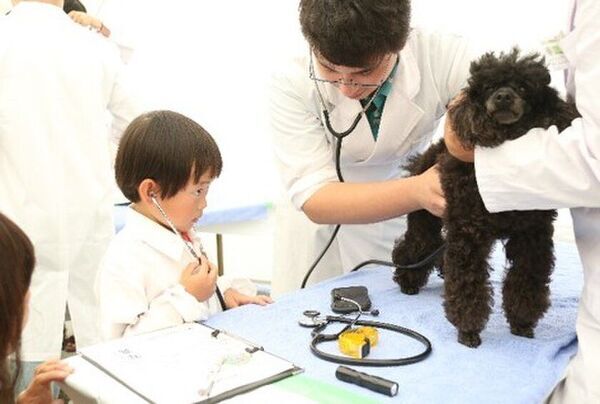 獣医師の仕事について知る！動物とふれあう！動物同伴OKイベント「2026動物感謝デー in JAPAN “World Veterinary Day”」2026年11月14日(土)開催