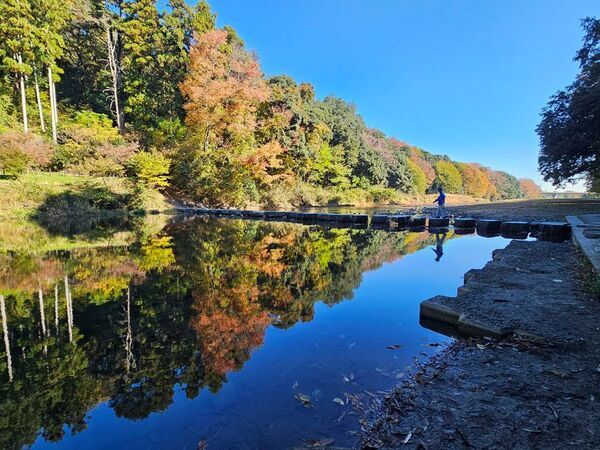 色づく渓谷で秋を味わう、埼玉県嵐山町「嵐山渓谷紅葉まつり」イベントDay　11月28日、29日に開催
