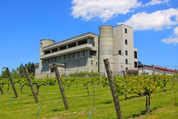 酒蔵やワイナリーなどで人気の都道府県ランキング～山梨県や新潟県を抑えた1位はどこ？阪急交通社が調査～