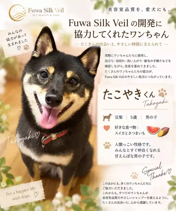 美容師が開発した犬用泡シャンプー＆トリートメント　「Fuwa Silk Veil」の先行販売を開始