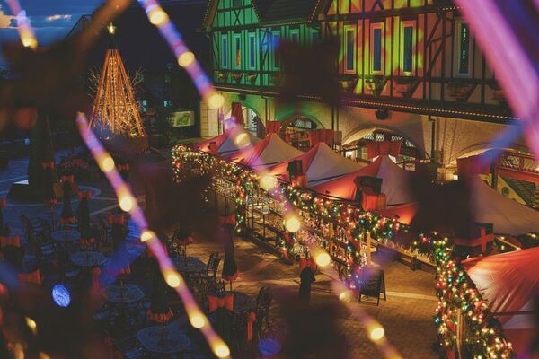 ロープウェイから始まる「天空のクリスマスマーケット」。ドイツの古城を思わせる賑やかな広場から、高さ25mの「森のクリスマスツリー」、光に包まれる森、神戸の夜景までを巡る「神戸クリスマスマーケット2026」。11月7日より開催。