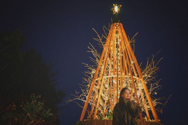ロープウェイから始まる「天空のクリスマスマーケット」。ドイツの古城を思わせる賑やかな広場から、高さ25mの「森のクリスマスツリー」、光に包まれる森、神戸の夜景までを巡る「神戸クリスマスマーケット2026」。11月7日より開催。