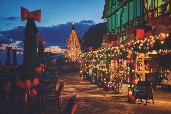 ロープウェイから始まる「天空のクリスマスマーケット」。ドイツの古城を思わせる賑やかな広場から、高さ25mの「森のクリスマスツリー」、光に包まれる森、神戸の夜景までを巡る「神戸クリスマスマーケット2026」。11月7日より開催。