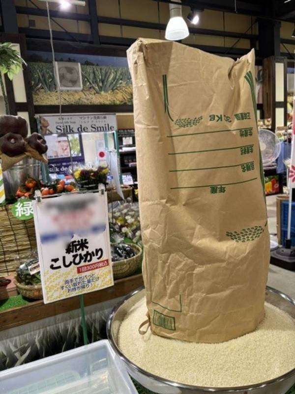 群馬の秋、食べて遊んで満腹だ！群馬県渋川市 上州・村の駅「群馬の秋の満腹フェス」10月より開催！群馬の旬を食べ尽くせ、遊び尽くせ。