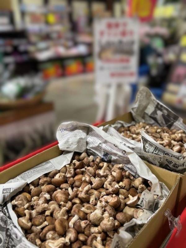 群馬の秋、食べて遊んで満腹だ！群馬県渋川市 上州・村の駅「群馬の秋の満腹フェス」10月より開催！群馬の旬を食べ尽くせ、遊び尽くせ。
