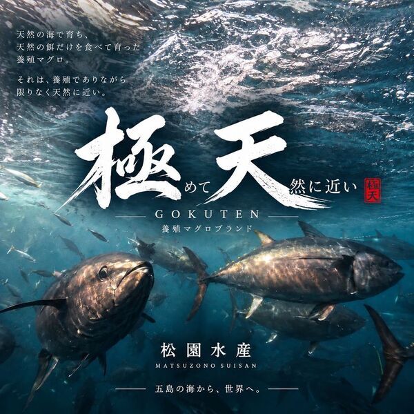 【都内最大級】10月9日(金)～代々木公園で4日間開催『第17回 九州観光・物産フェアin代々木2026』「AKB48」から倉野尾 成美・工藤 華純・山口 結愛「WHITE SCORPION」からACEが公式アンバサダーに就任！「マグロ解体ショー」や「全国酒蔵巡り」も開催決定！