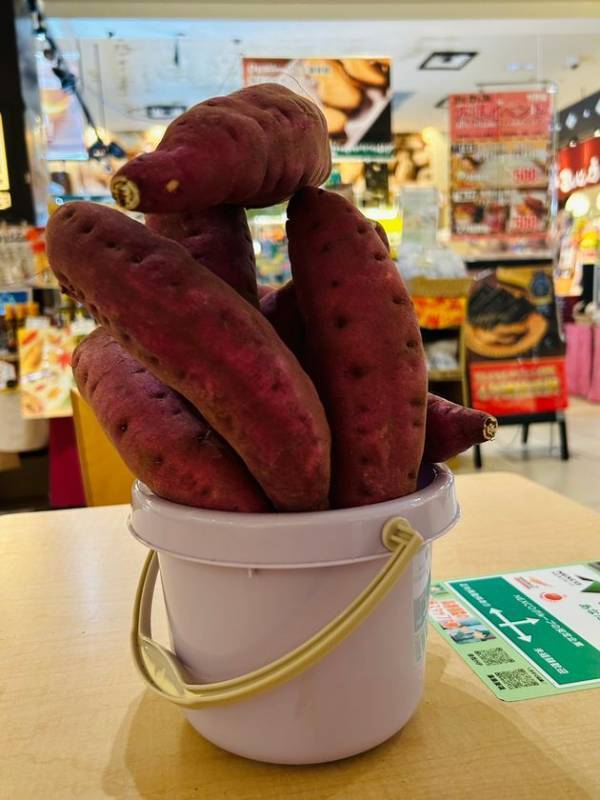 【千葉・幕張パーキングエリア上り線】芋！イモ！！IMO！！！「千葉いも」づくしフェアを開催！～秋はやっぱり、さつまいも！積んで、楽しんで、食べて、買って芋が主役の寄り道イベント～