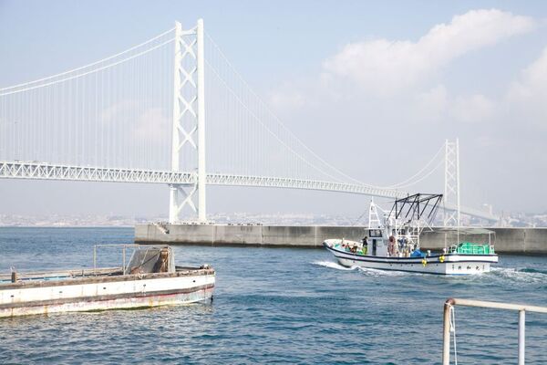 16年目の「淡路島の生しらす」を11月末まで提供！今シーズンは全島で64万食超を見込む　シルバーウィークには道の駅あわじで一時品薄に