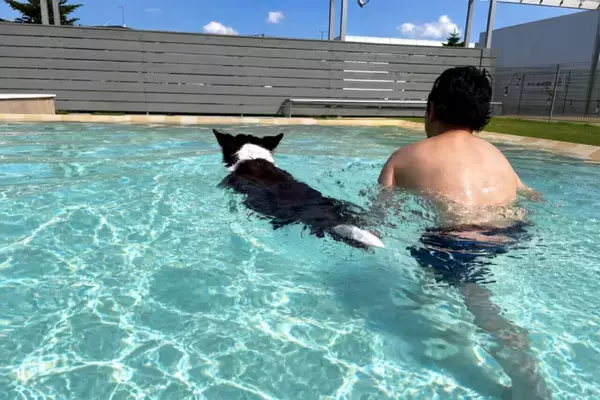 愛犬と楽しむ完全貸切「LITTLE LAGOON」が10/9未来庭苑つくばにオープン　プール・天然芝ドッグラン・サウナを備えたプライベート空間