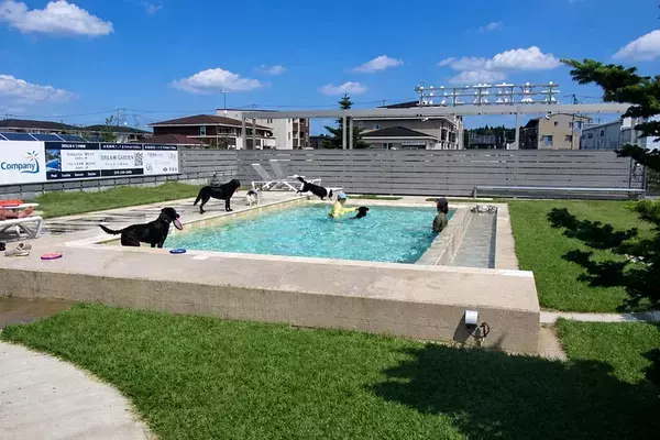 愛犬と楽しむ完全貸切「LITTLE LAGOON」が10/9未来庭苑つくばにオープン　プール・天然芝ドッグラン・サウナを備えたプライベート空間