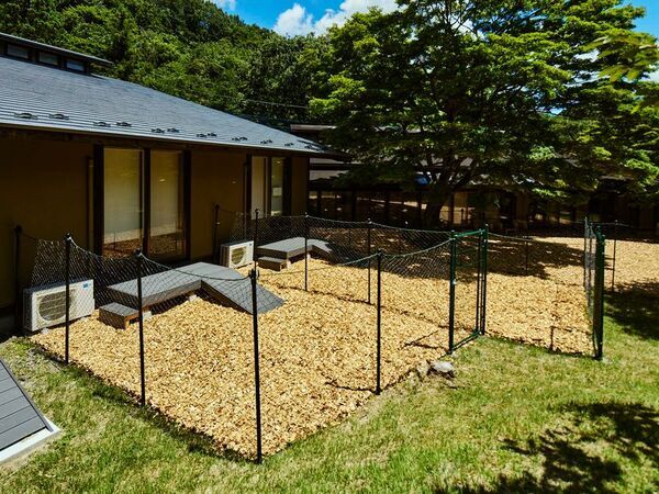 【愛犬と泊まれる古民家リトリート　赤城山 - 懐 -】専用ドッグラン付きの新客室「スーペリアプラス和室」が登場