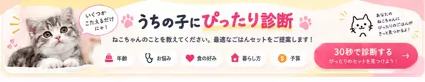 にゃんこのフード＆日常アイテムを定期便でご自宅へ　「にゃんにゃんデリバリーフーズ」を10月にスタート