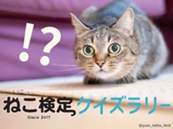 吉祥寺の秋恒例「吉祥寺ねこ祭り」10月24・25日に最大イベント『ねこだらけマーケット2026』開催　ねこ雑貨・スイーツや保護猫譲渡まで、ねこ一色の2日間
