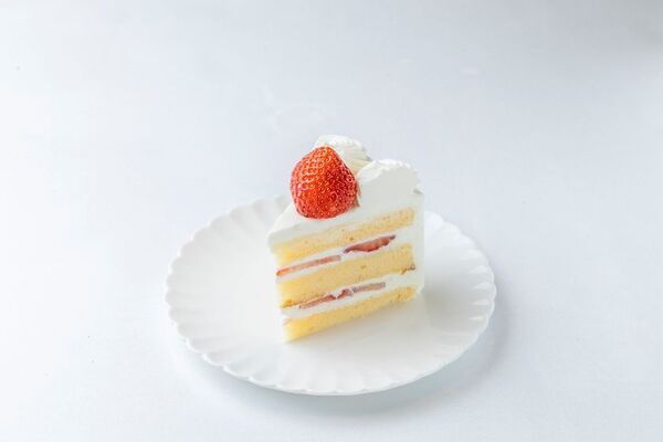 【日本初 1棟まるごと！いちご専門店の道の駅 いちごBonBon】当店契約農園で採れた静岡いちごを約150粒使用したBIGなツリー型ケーキが登場！いちご好きに贈るクリスマスケーキを2026年10月13日(火)から予約受付開始