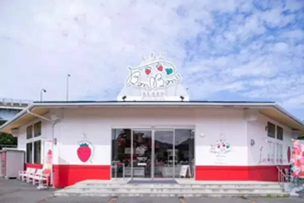 【日本初 1棟まるごと！いちご専門店の道の駅 いちごBonBon】当店契約農園で採れた静岡いちごを約150粒使用したBIGなツリー型ケーキが登場！いちご好きに贈るクリスマスケーキを2026年10月13日(火)から予約受付開始
