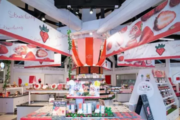 【日本初 1棟まるごと！いちご専門店の道の駅 いちごBonBon】当店契約農園で採れた静岡いちごを約150粒使用したBIGなツリー型ケーキが登場！いちご好きに贈るクリスマスケーキを2026年10月13日(火)から予約受付開始