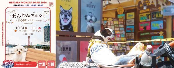 神戸・メリケンパークがハロウィンテーマパークに！「メリケンわんだーパーク2026秋」を10月31日～11月1日に開催