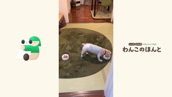 「ワンちゃんも家族の一員」ミツカンが専門家とドッグフードを開発した理由とは　新ペットフードブランド「わんこのほんと」ローンチ発表会のレポートを公開