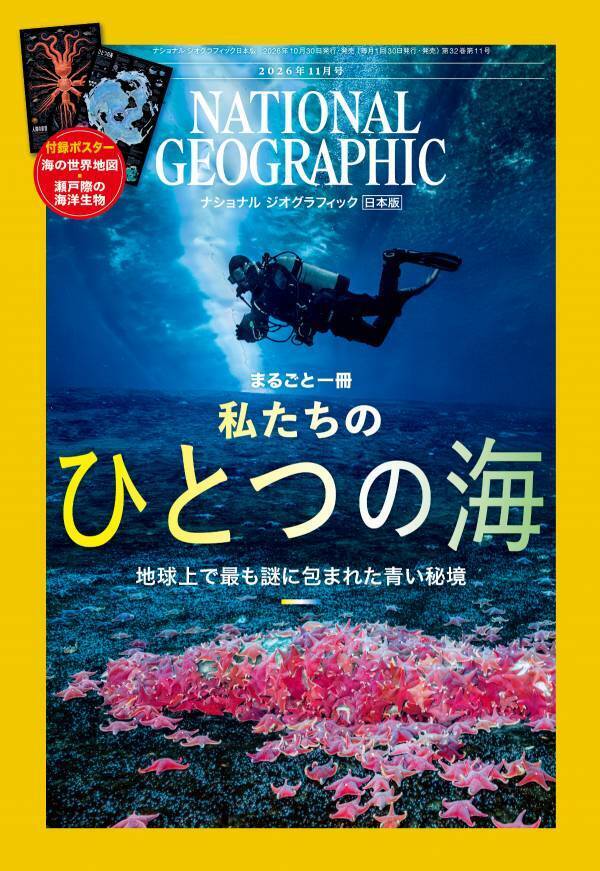 ナショナル ジオグラフィック日本版11月号 『まるごと一冊 私たちのひとつの海』10月30日発売特製付録ポスター『海の世界地図／瀬戸際の海洋生物』付き