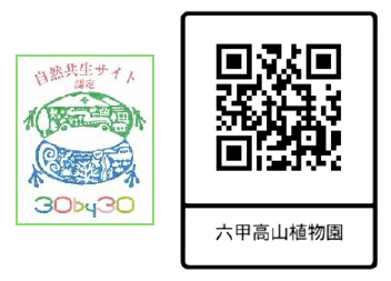 【六甲高山植物園】日本の里山の秋を彩る鮮やかな瑠璃色の花「リンドウ」が見頃です