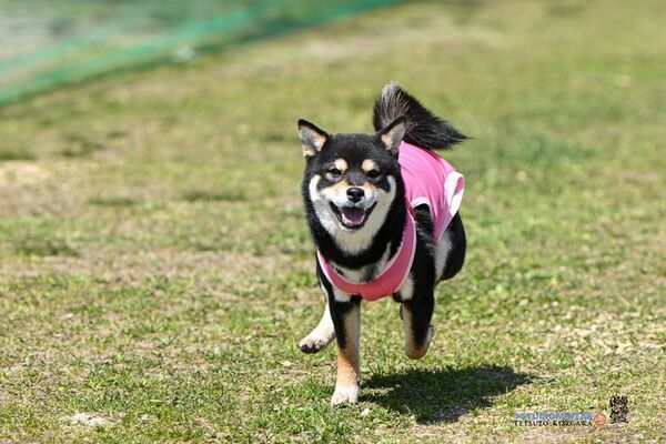 大人気イベント「30メートル走タイムトライアル撮影会」が神奈川・大阪で開催決定！