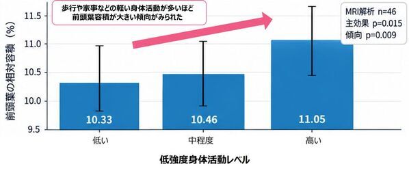日常の「軽い身体活動」と高齢期の脳の健康との関連を明らかにした論文を発表
