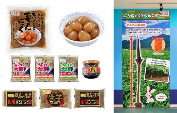 いつものこんにゃくにも「旬」がある　こんにゃくパーク「新芋祭り」、10月31日から旬を味わう限定メニューを提供