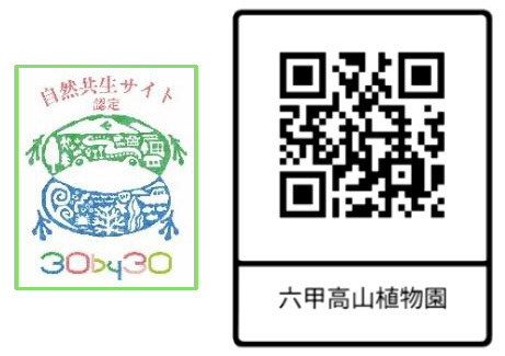 【六甲高山植物園】「紅葉」ひと足早く、まもなく見頃！～10/31（土）から11/15（日）は、夜間延長営業～