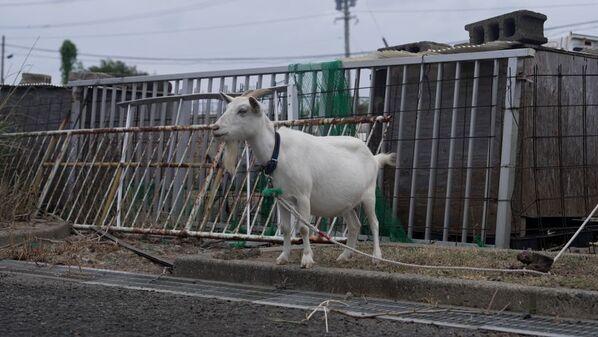 《ピエール瀧》が《廃墟》を巡る地上波冠バラエティ「ピエール瀧のあなたのことを廃してます」KBCテレビで11月5日より木曜深夜放送！