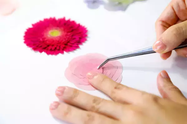 大切な花束を、もっと気軽に残せるように　花束保存専門店ハッピーフラワー、「送料無料キャンペーン」実施
