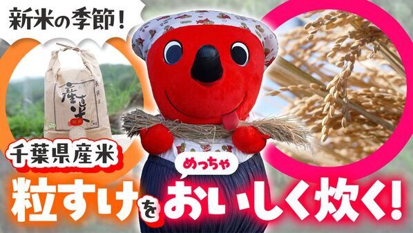 祝 誕生20周年！知ればもっと好きになるチーバくんの魅力を大特集　10月31日(土)から「大チーバくん展」を開催