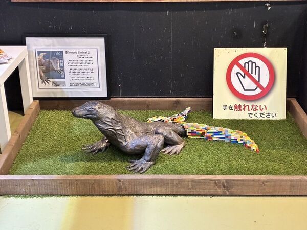 【現在展示中】本物の来日に先駆け「コモドドラゴン」のアート大作がiZooに出現！誠恵高校が従来の静観から一転、生体移送プロジェクトを“全面歓迎”するコラボ展示を開始